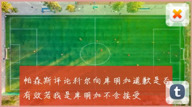 帕森斯评论科尔向库明加道歉是否有效若我是库明加不会接受